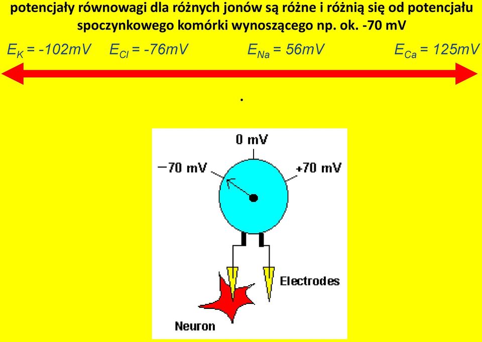spoczynkowego komórki wynoszącego np. ok.