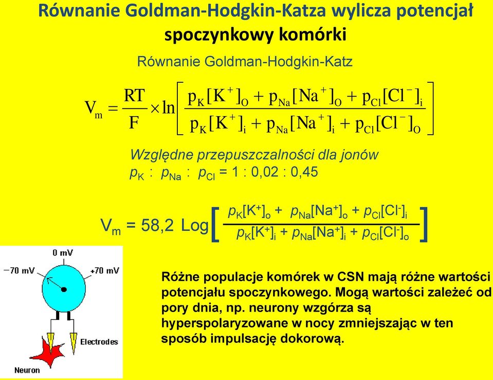 ] o + p Na [Na + ] o + p Cl [Cl - ] i p K [K + ] i + p Na [Na + ] i + p Cl [Cl - ] o ] Różne populacje komórek w CSN mają różne wartości