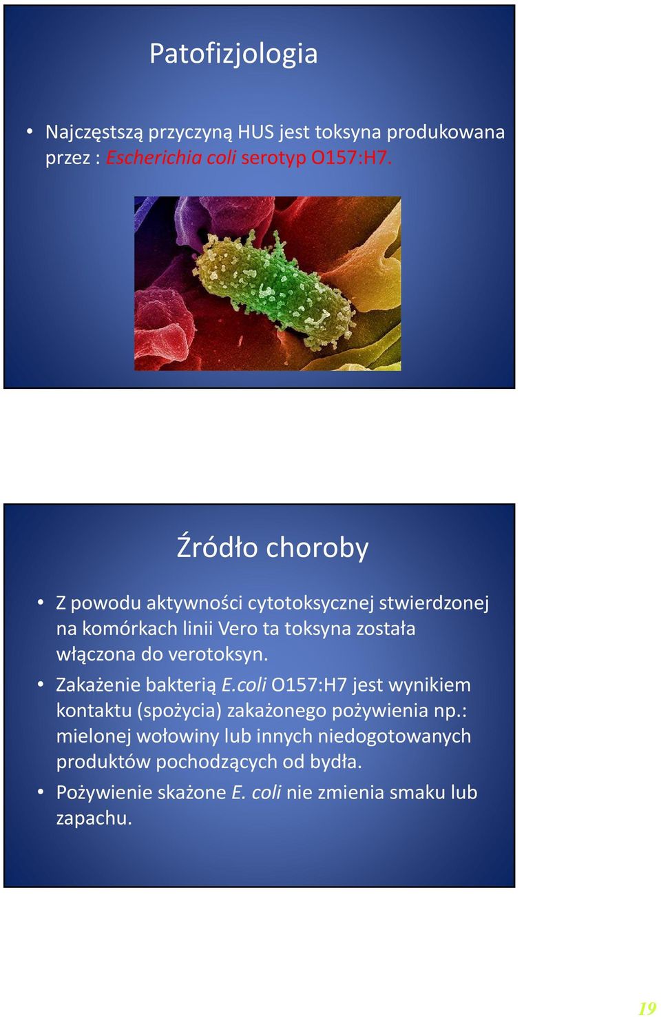 do verotoksyn. Zakażenie bakterią E.coliO157:H7jest wynikiem kontaktu (spożycia) zakażonego pożywienia np.