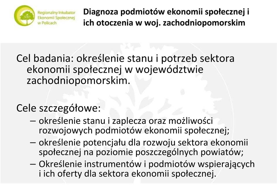 Cele szczegółowe: określenie stanu i zaplecza oraz możliwości rozwojowych podmiotów ekonomii społecznej; określenie