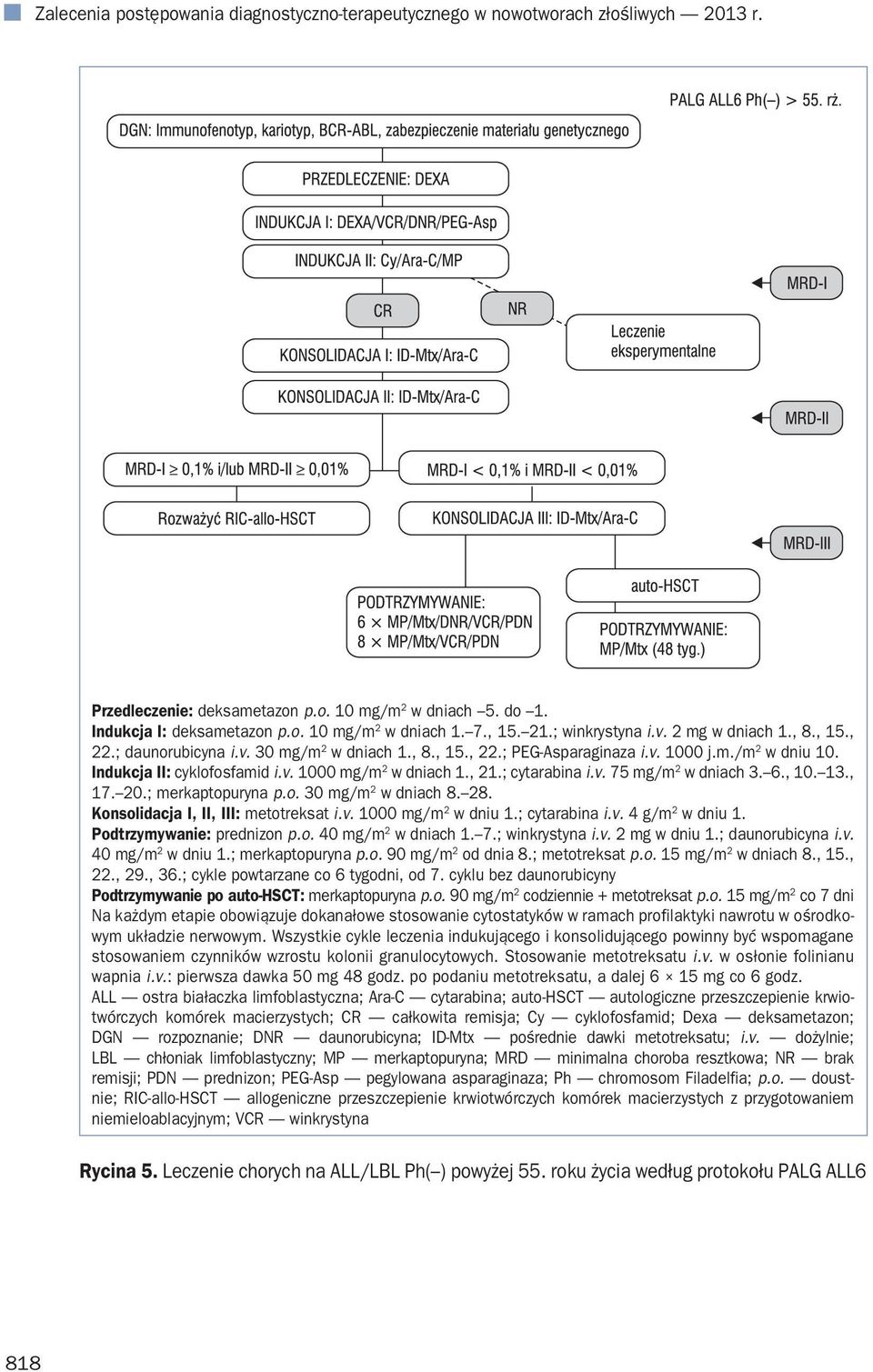 , 21.; cytarabina i.v. 75 mg/m 2 w dniach 3. 6., 10. 13., 17. 20.; merkaptopuryna p.o. 30 mg/m 2 w dniach 8. 28. Konsolidacja I, II, III: metotreksat i.v. 1000 mg/m 2 w dniu 1.; cytarabina i.v. 4 g/m 2 w dniu 1.