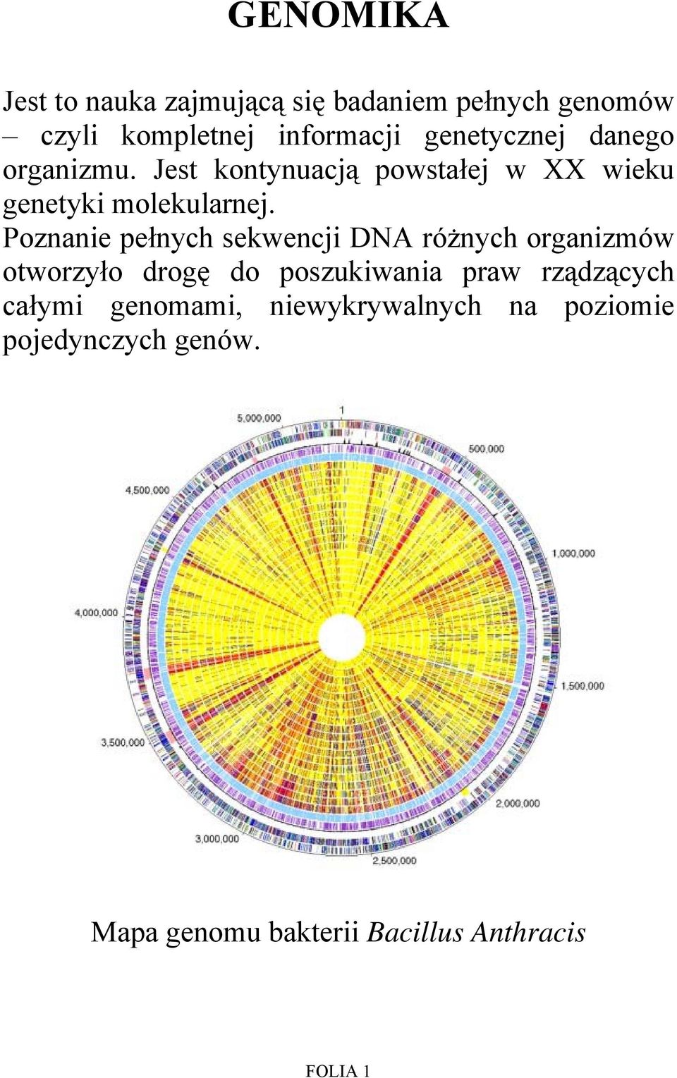 Poznanie pełnych sekwencji DNA różnych organizmów otworzyło drogę do poszukiwania praw
