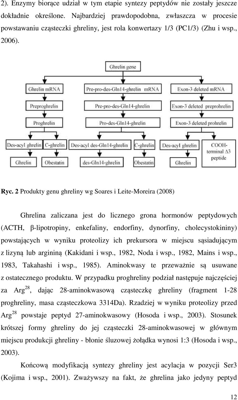 2 Produkty genu ghreliny wg Soares i Leite-Moreira (2008) Ghrelina zaliczana jest do licznego grona hormonów peptydowych (ACTH, β-lipotropiny, enkefaliny, endorfiny, dynorfiny, cholecystokininy)
