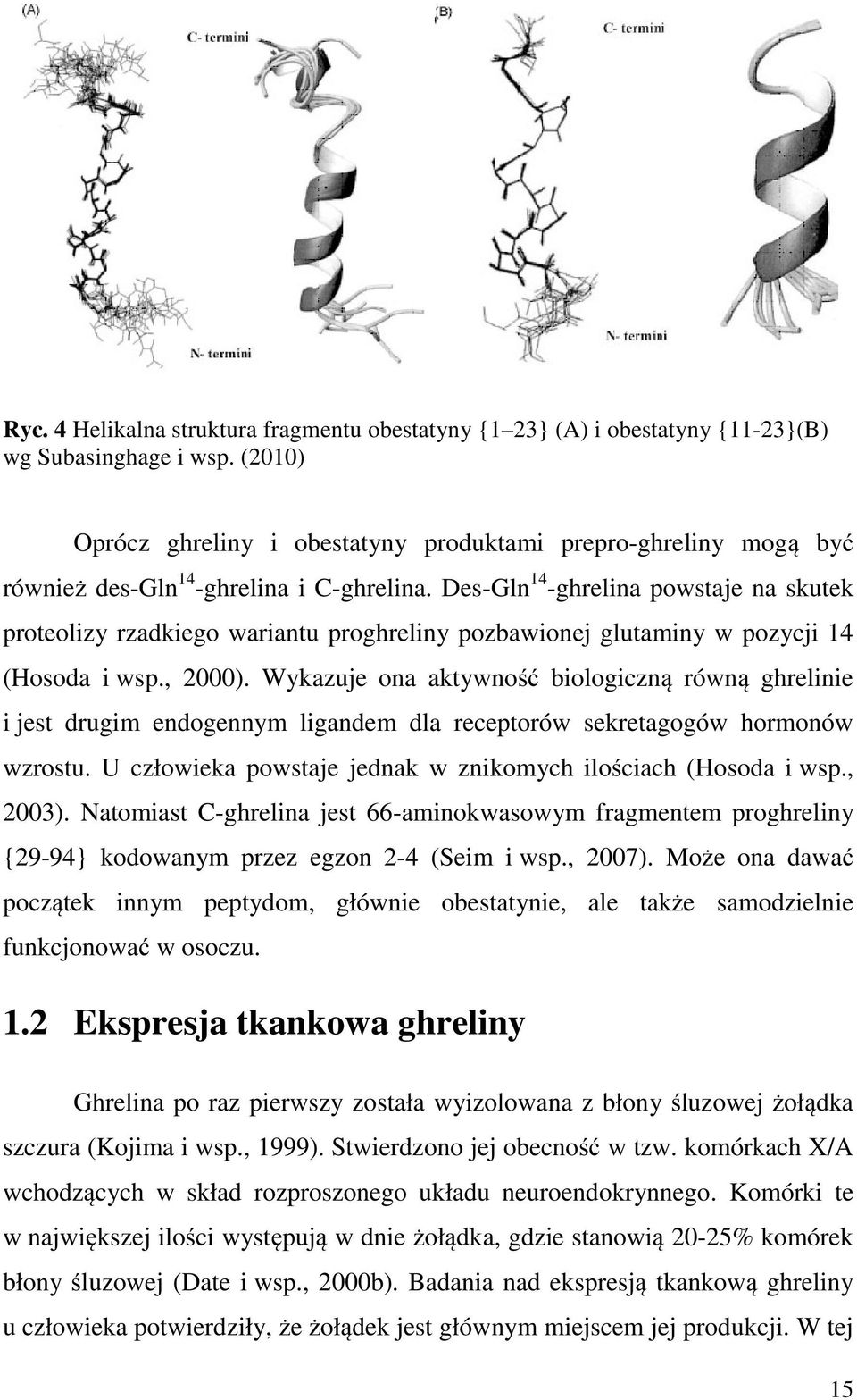 Des-Gln 14 -ghrelina powstaje na skutek proteolizy rzadkiego wariantu proghreliny pozbawionej glutaminy w pozycji 14 (Hosoda i wsp., 2000).