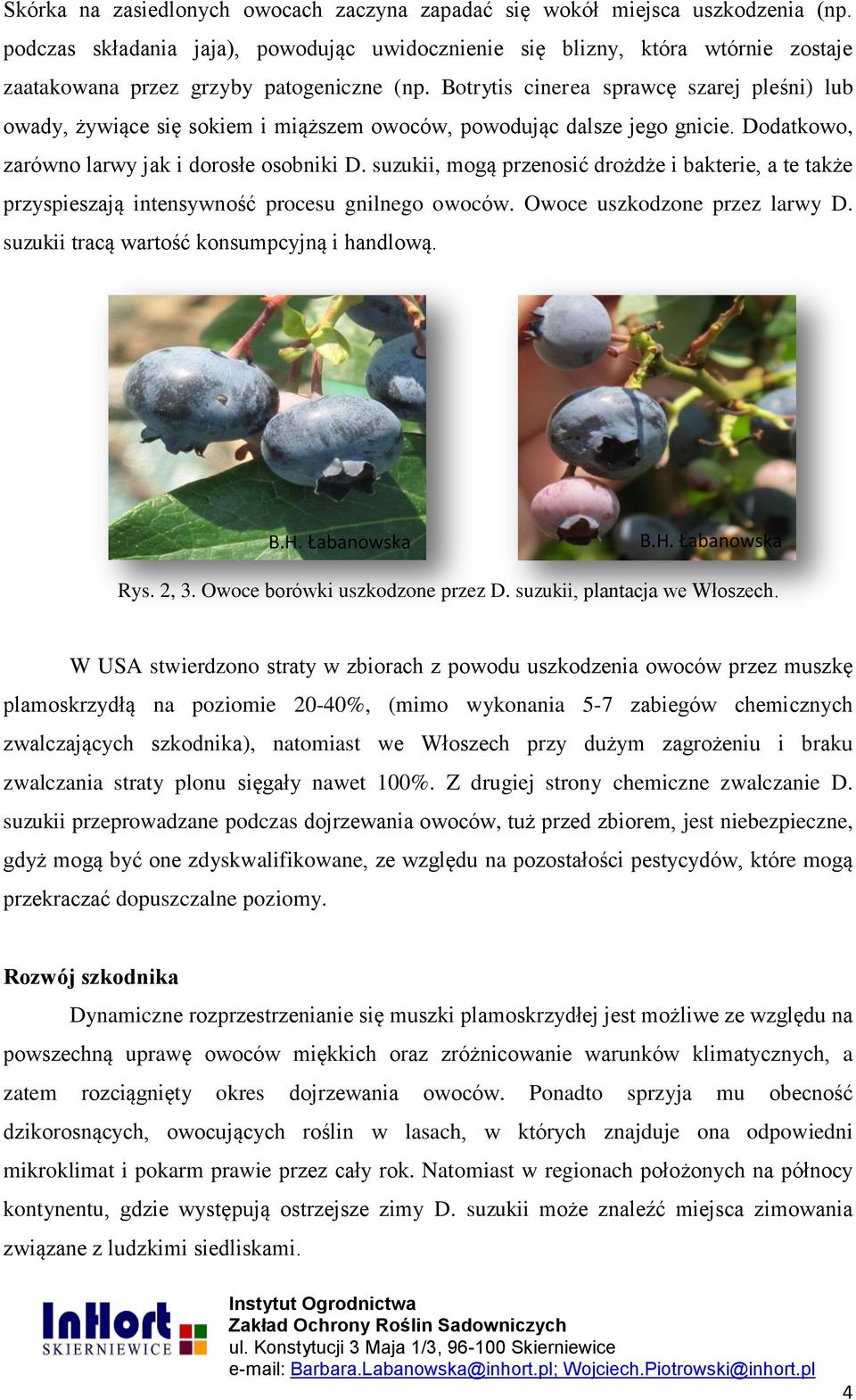Botrytis cinerea sprawcę szarej pleśni) lub owady, żywiące się sokiem i miąższem owoców, powodując dalsze jego gnicie. Dodatkowo, zarówno larwy jak i dorosłe osobniki D.