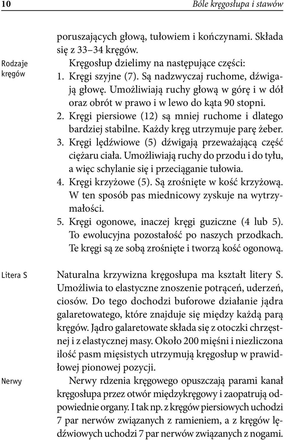 Każdy kręg utrzymuje parę żeber. 3. Kręgi lędźwiowe (5) dźwigają przeważającą część ciężaru ciała. Umożliwiają ruchy do przodu i do tyłu, a więc schylanie się i przeciąganie tułowia. 4.
