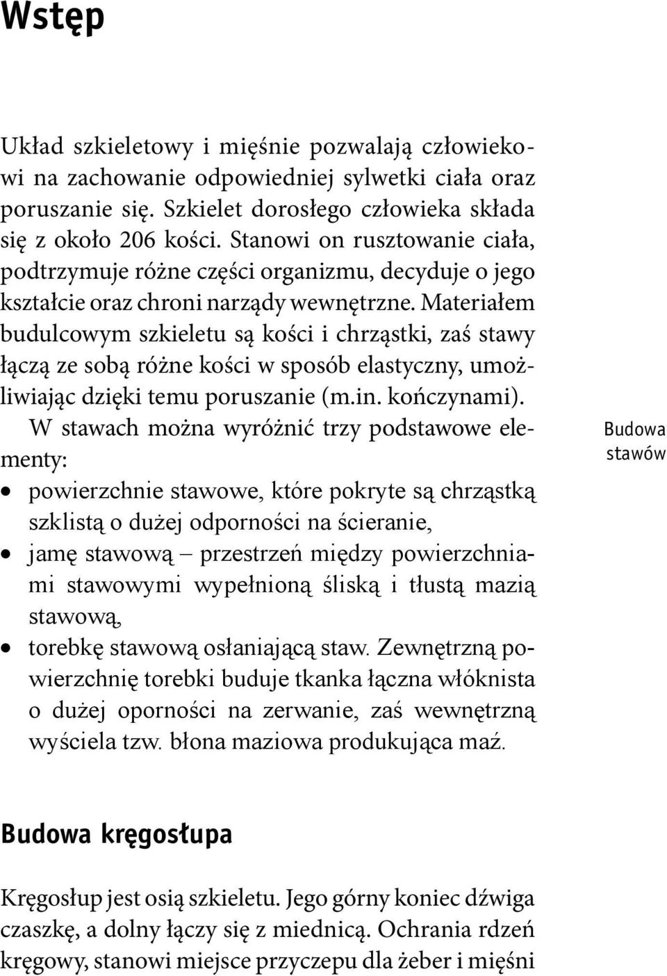 Materiałem budulcowym szkieletu są kości i chrząstki, zaś stawy łączą ze sobą różne kości w sposób elastyczny, umożliwiając dzięki temu poruszanie (m.in. kończynami).