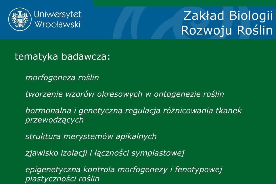 różnicowania tkanek przewodzących struktura merystemów apikalnych zjawisko