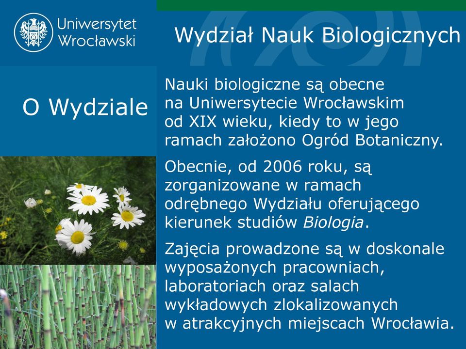 Obecnie, od 2006 roku, są zorganizowane w ramach odrębnego Wydziału oferującego kierunek studiów