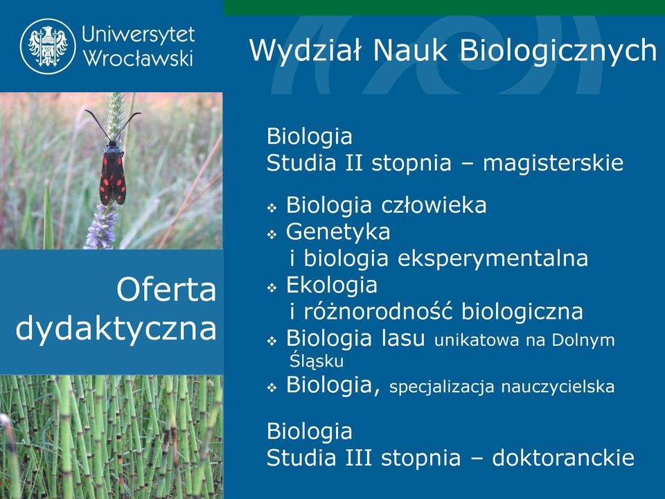 Ekologia i różnorodność biologiczna Biologia lasu unikatowa na Dolnym