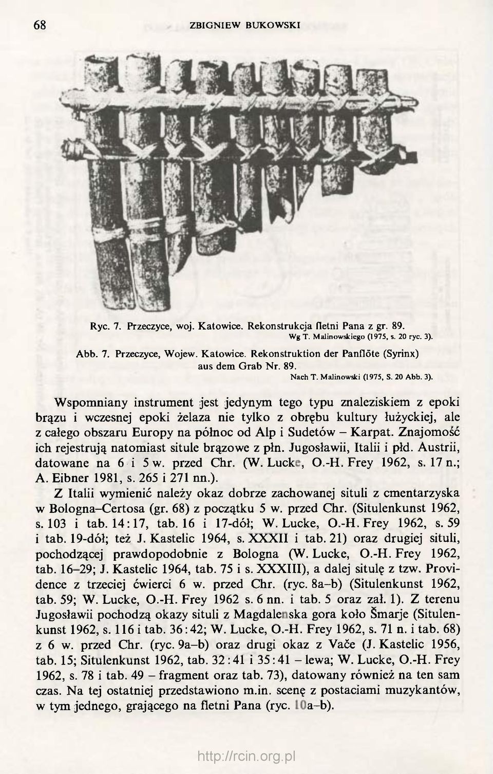 Wspomniany instrument jest jedynym tego typu znaleziskiem z epoki brązu i wczesnej epoki żelaza nie tylko z obrębu kultury łużyckiej, ale z całego obszaru Europy na północ od Alp i Sudetów - Karpat.