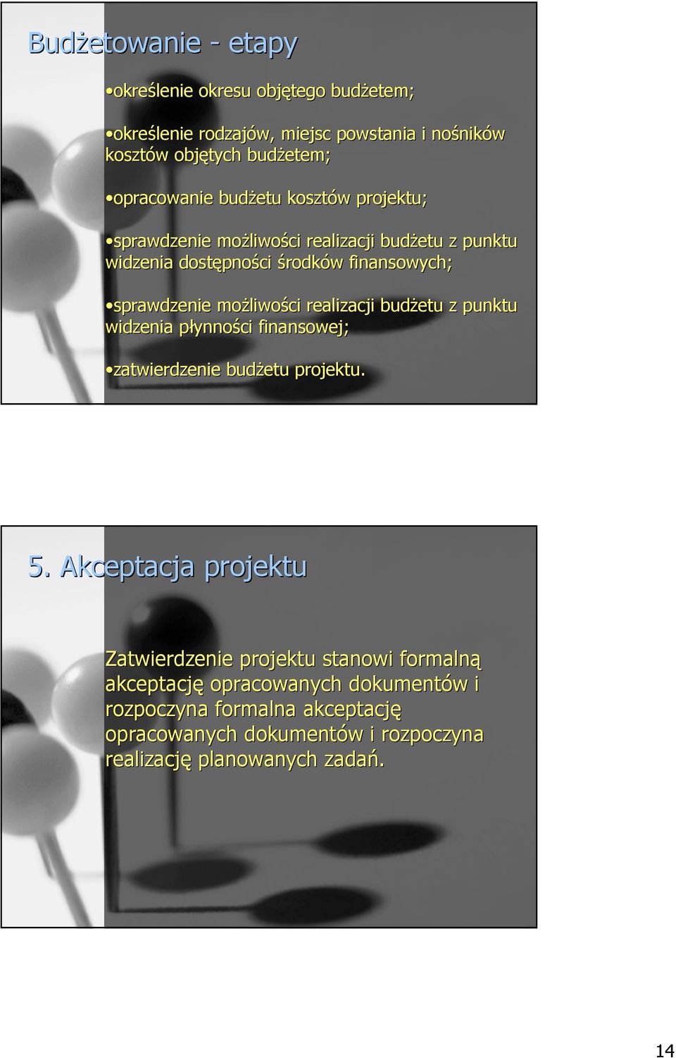 liwości realizacji budŝetu z punktu widzenia płynnop ynności finansowej; zatwierdzenie budŝetu projektu. 5.