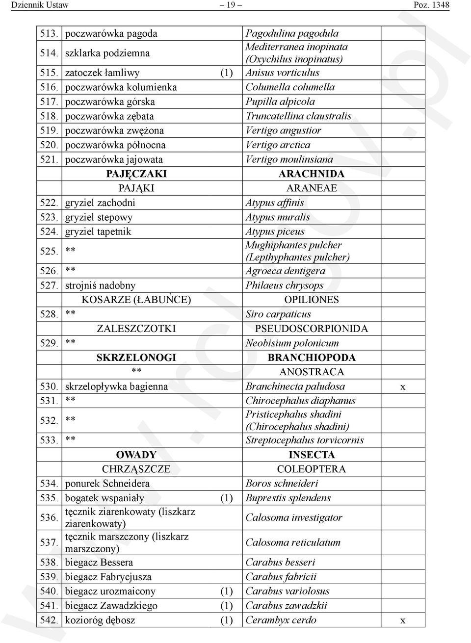 poczwarówka północna Vertigo arctica 521. poczwarówka jajowata Vertigo moulinsiana PAJĘCZAKI ARACHNIDA PAJĄKI ARANEAE 522. gryziel zachodni Atypus affinis 523. gryziel stepowy Atypus muralis 524.