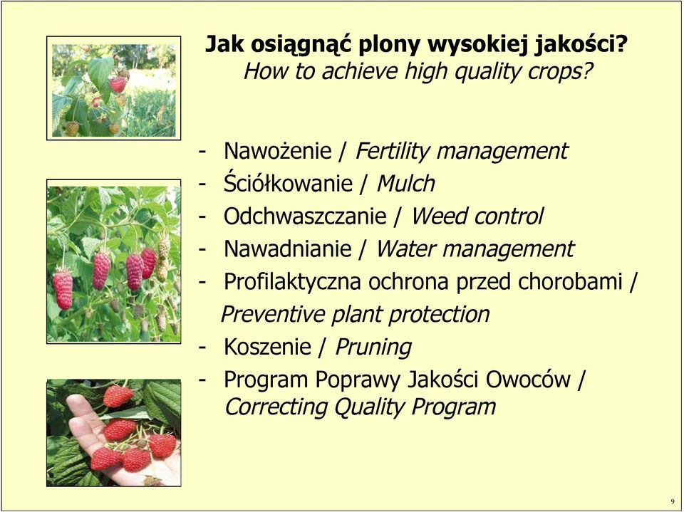 control - Nawadnianie / Water management - Profilaktyczna ochrona przed chorobami /