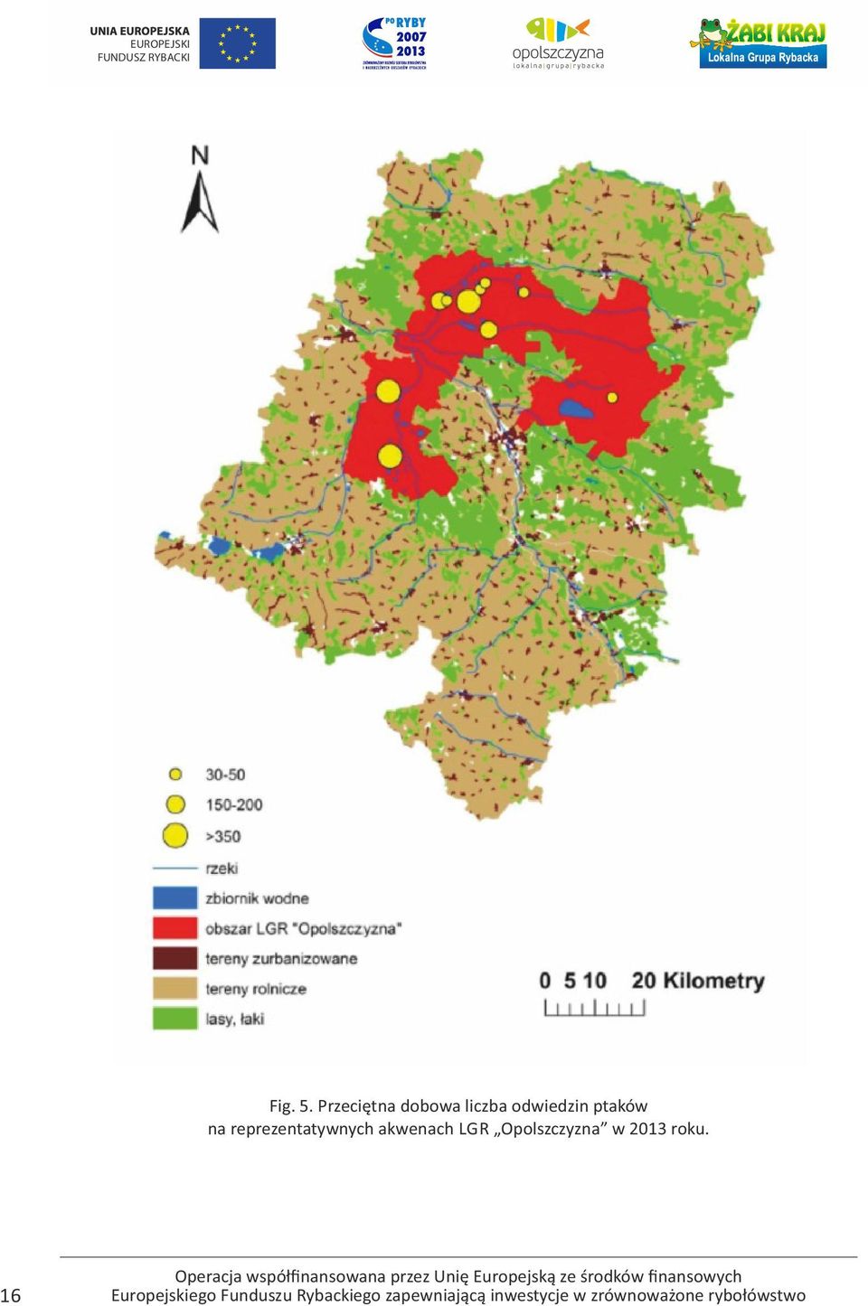 odwiedzin ptaków na