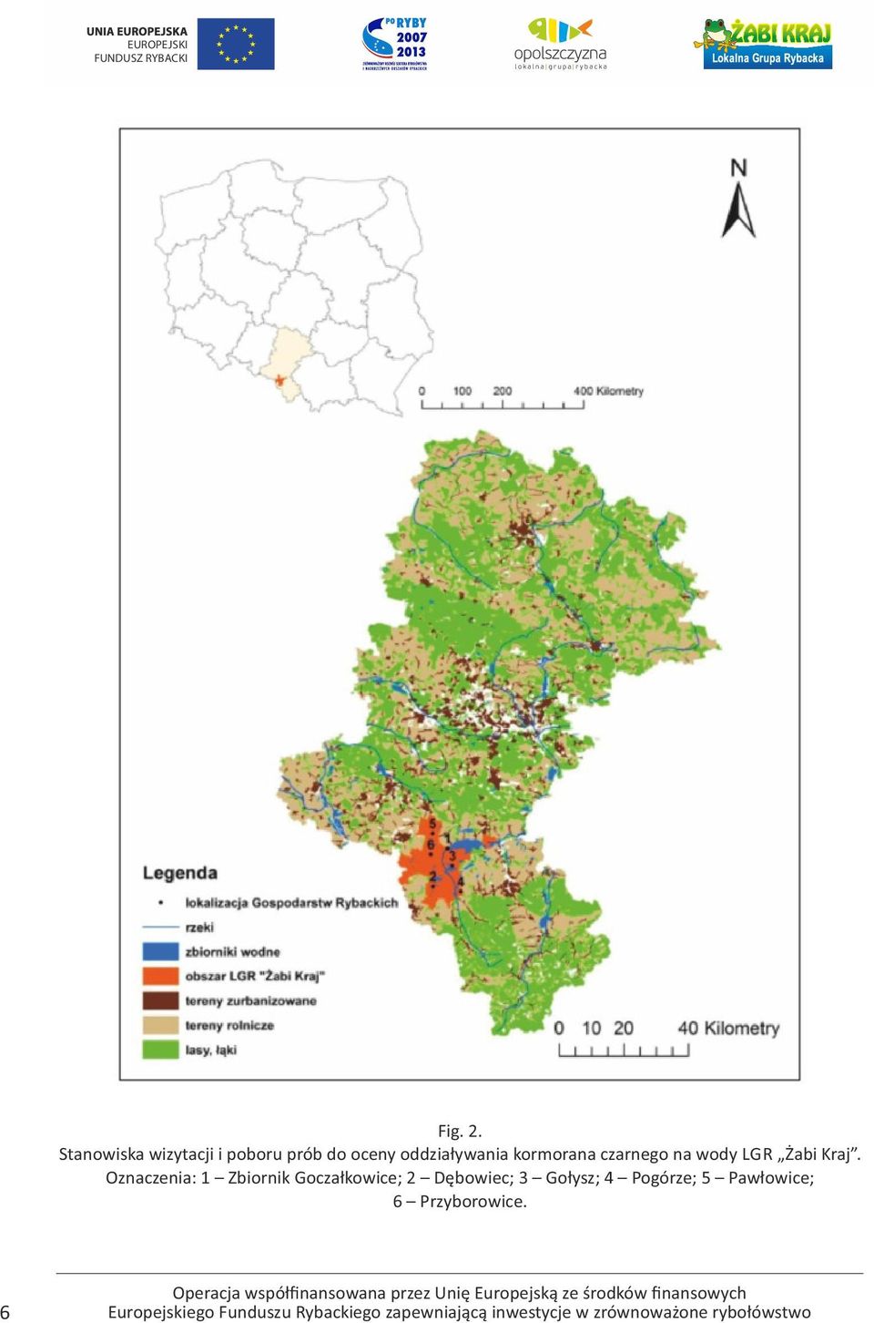 oddziaływania kormorana czarnego na wody LGR Żabi