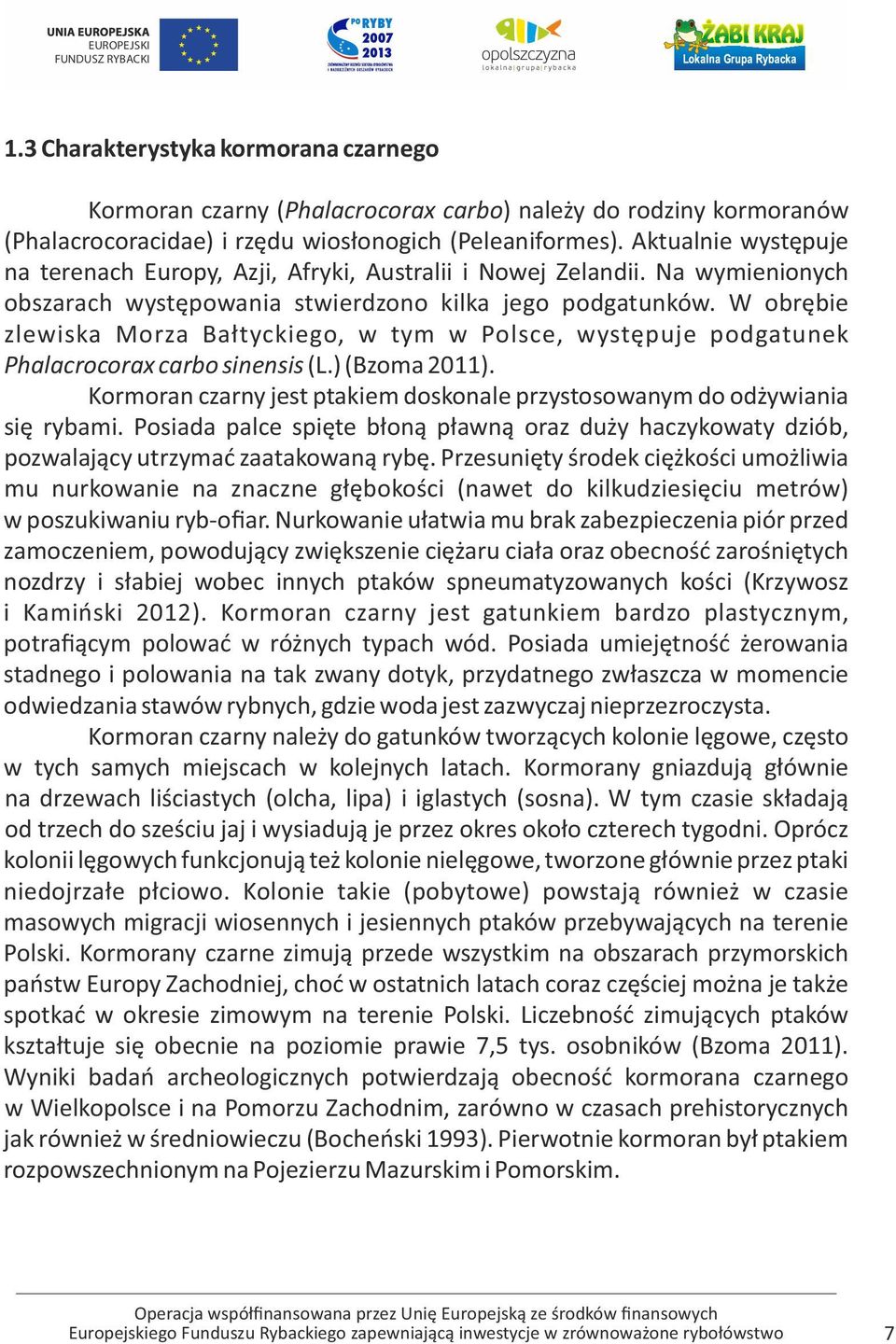 W obrębie zlewiska Morza Bałtyckiego, w tym w Polsce, występuje podgatunek Phalacrocorax carbo sinensis (L.) (Bzoma 2011).