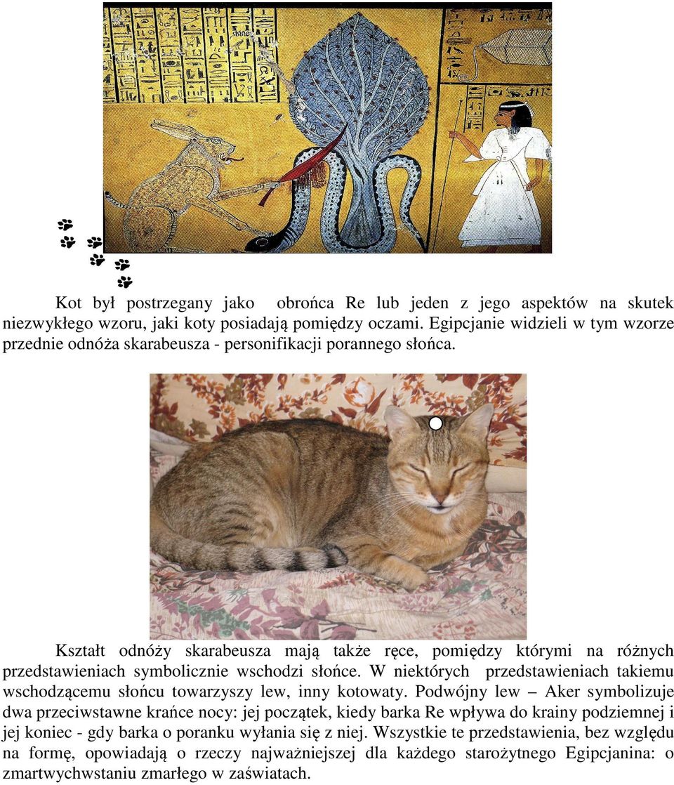 Kształt odnóży skarabeusza mają także ręce, pomiędzy którymi na różnych przedstawieniach symbolicznie wschodzi słońce.