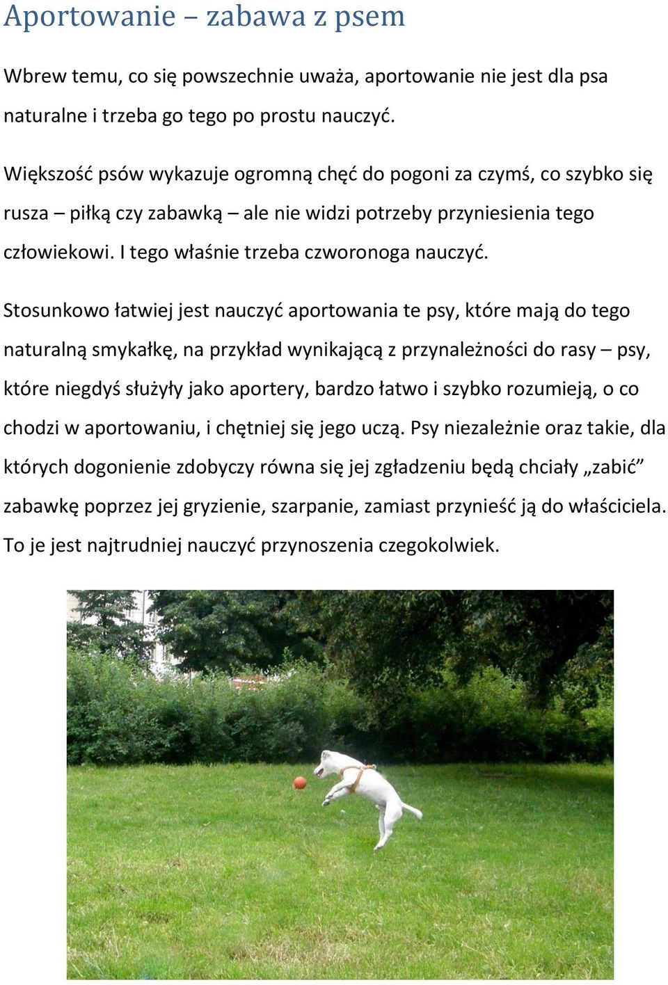 Stosunkowo łatwiej jest nauczyć aportowania te psy, które mają do tego naturalną smykałkę, na przykład wynikającą z przynależności do rasy psy, które niegdyś służyły jako aportery, bardzo łatwo i