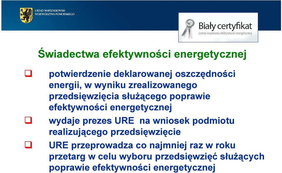 prezes URE na wniosek podmiotu realizującego przedsięwzięcie URE przeprowadza co najmniej