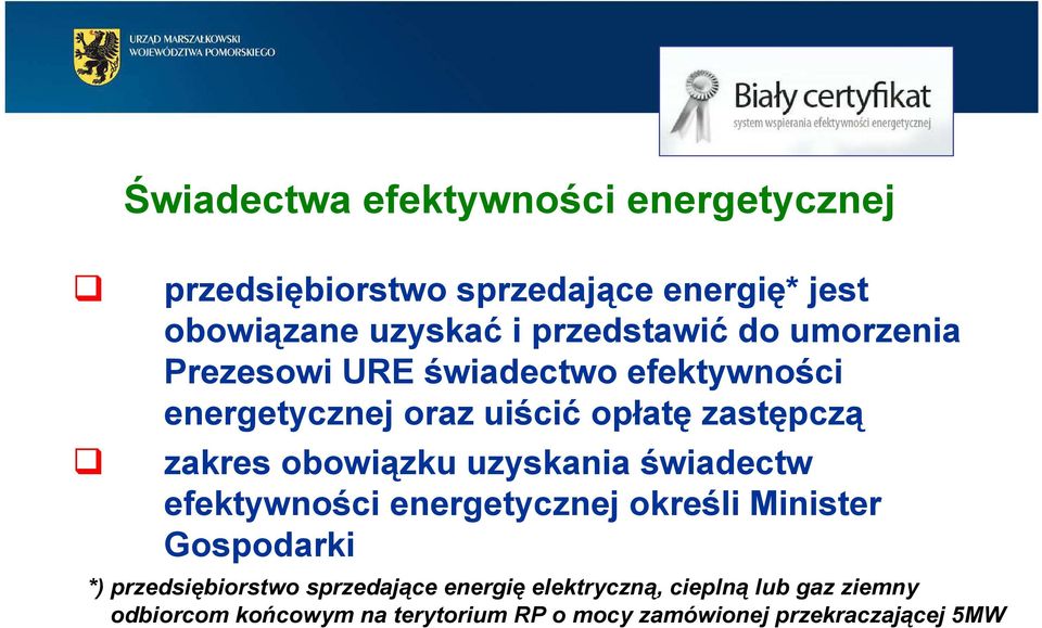 obowiązku uzyskania świadectw efektywności energetycznej określi Minister Gospodarki *) przedsiębiorstwo
