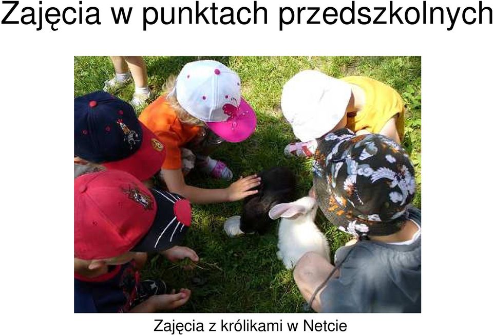 przedszkolnych