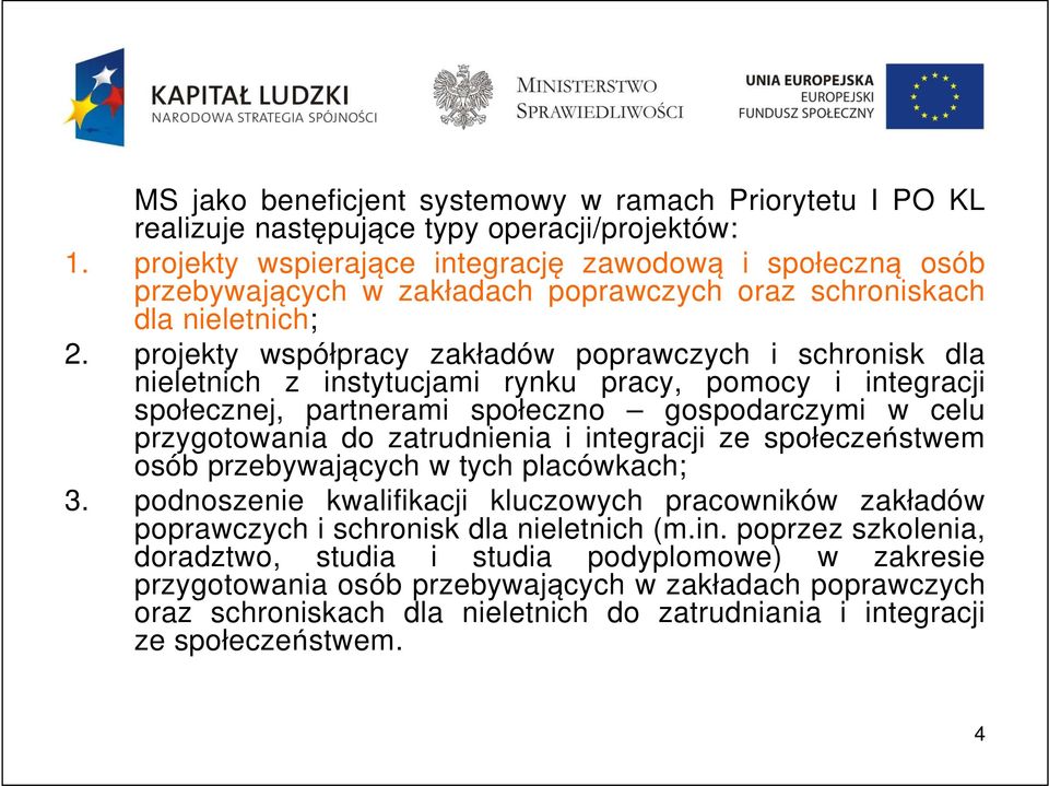 projekty współpracy zakładów poprawczych i schronisk dla nieletnich z instytucjami rynku pracy, pomocy i integracji społecznej, partnerami społeczno gospodarczymi w celu przygotowania do zatrudnienia