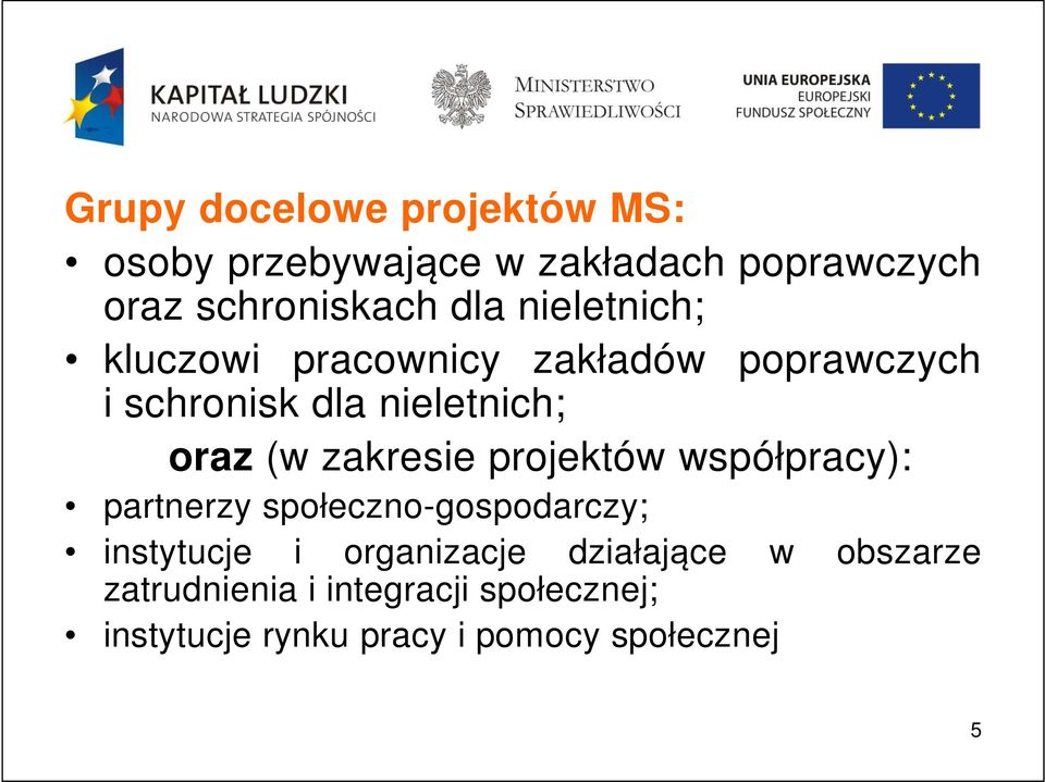 zakresie projektów współpracy): partnerzy społeczno-gospodarczy; instytucje i organizacje
