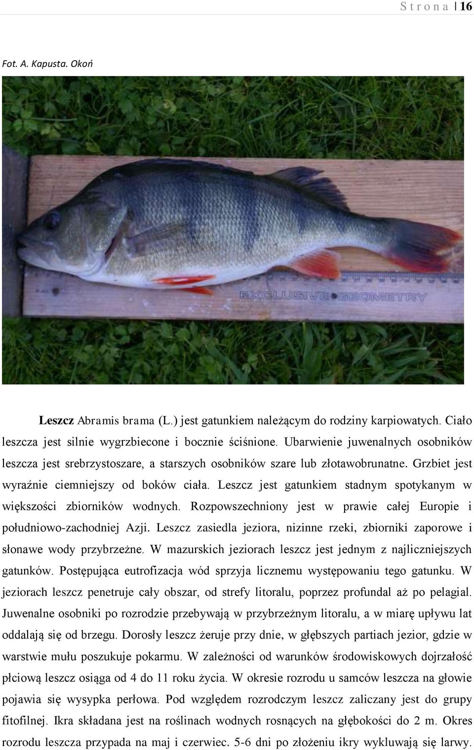 Leszcz jest gatunkiem stadnym spotykanym w większości zbiorników wodnych. Rozpowszechniony jest w prawie całej Europie i południowo-zachodniej Azji.