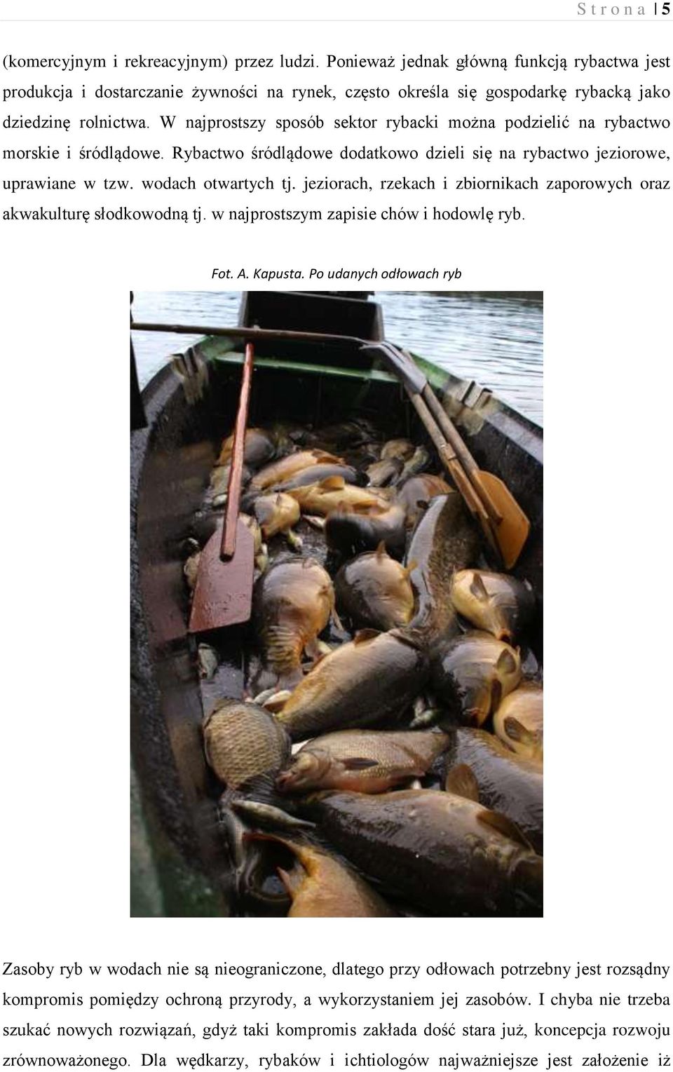 W najprostszy sposób sektor rybacki można podzielić na rybactwo morskie i śródlądowe. Rybactwo śródlądowe dodatkowo dzieli się na rybactwo jeziorowe, uprawiane w tzw. wodach otwartych tj.