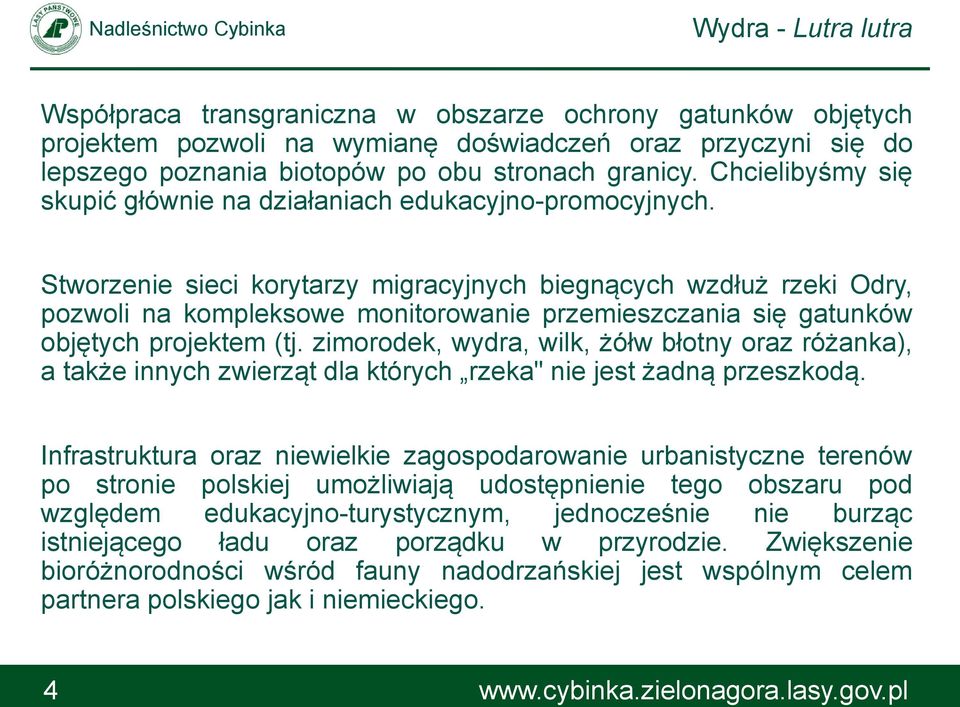 Stworzenie sieci korytarzy migracyjnych biegnących wzdłuż rzeki Odry, pozwoli na kompleksowe monitorowanie przemieszczania się gatunków objętych projektem (tj.