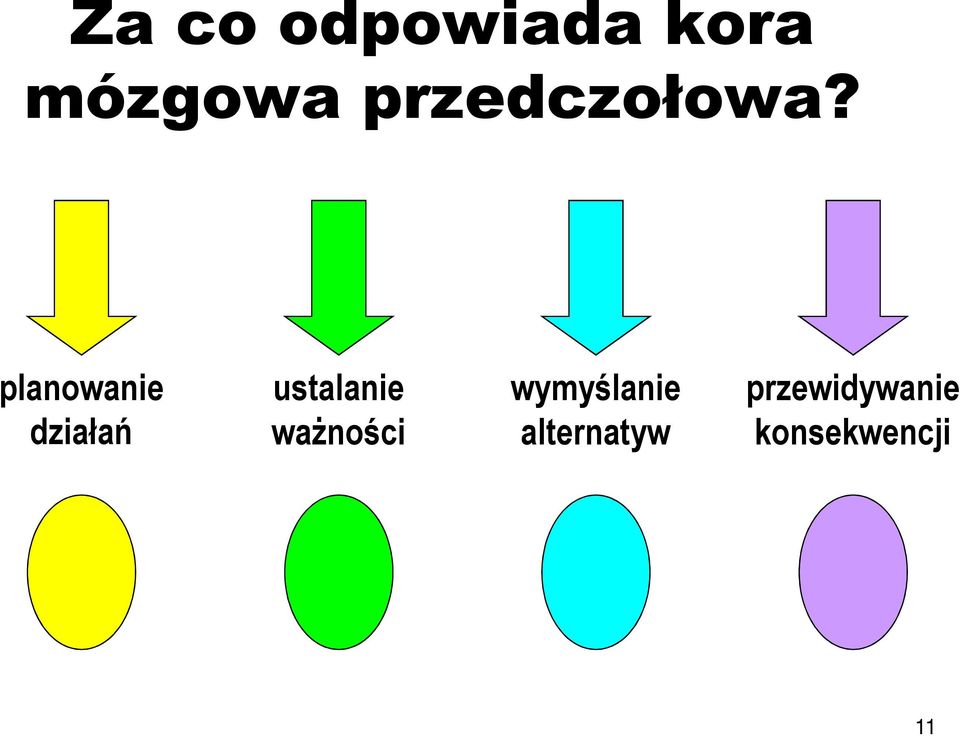planowanie działań ustalanie