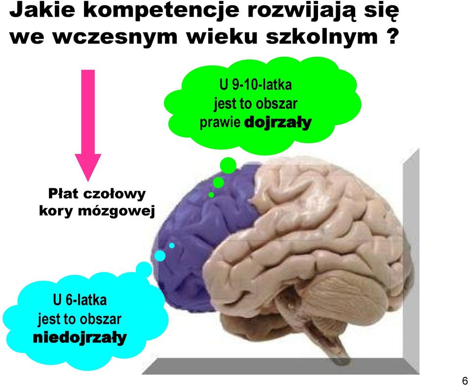 U 9-10-latka jest to obszar prawie