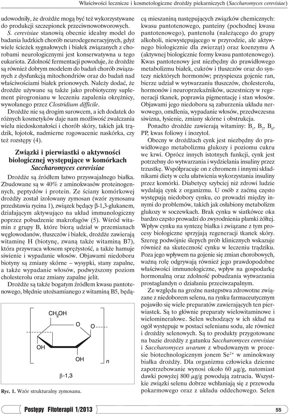 eukariota. Zdolność fermentacji powoduje, że drożdże są również dobrym modelem do badań chorób związanych z dysfunkcją mitochondriów oraz do badań nad właściwościami białek prionowych.