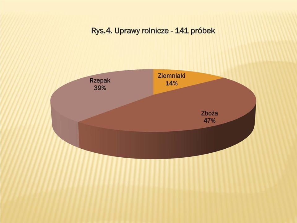 141 próbek Rzepak