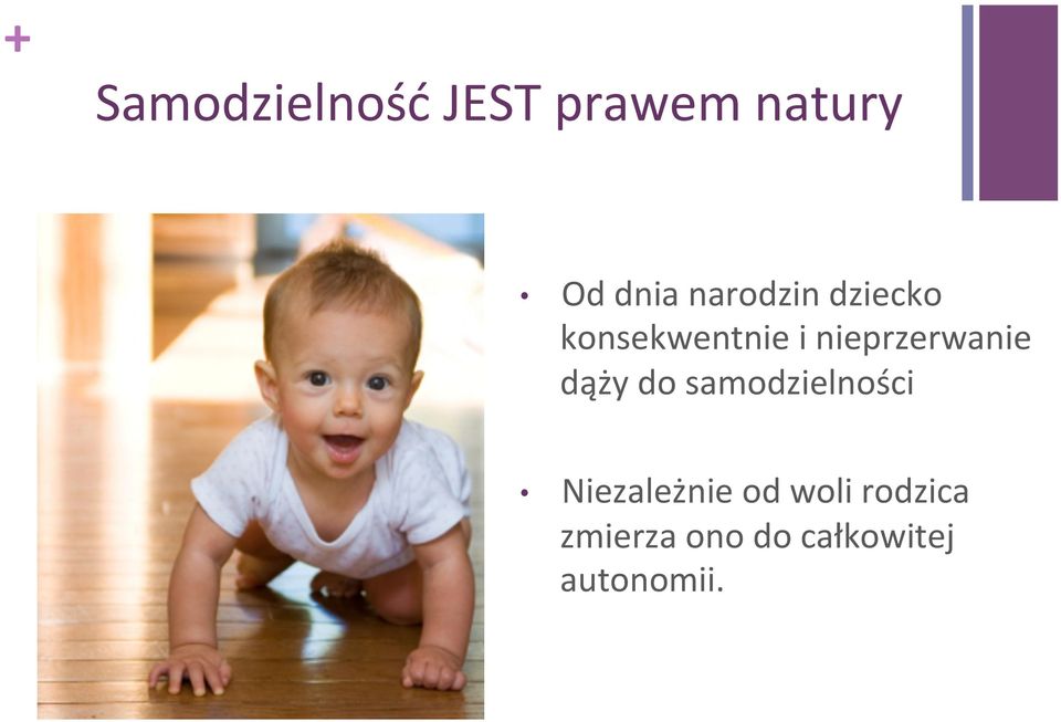 nieprzerwanie dąży do samodzielności