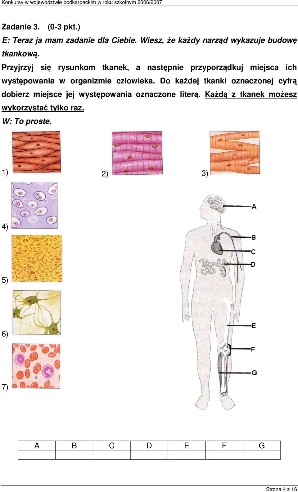 Przyjrzyj si rysunkom tkanek, a nastpnie przyporzdkuj miejsca ich wystpowania w organizmie