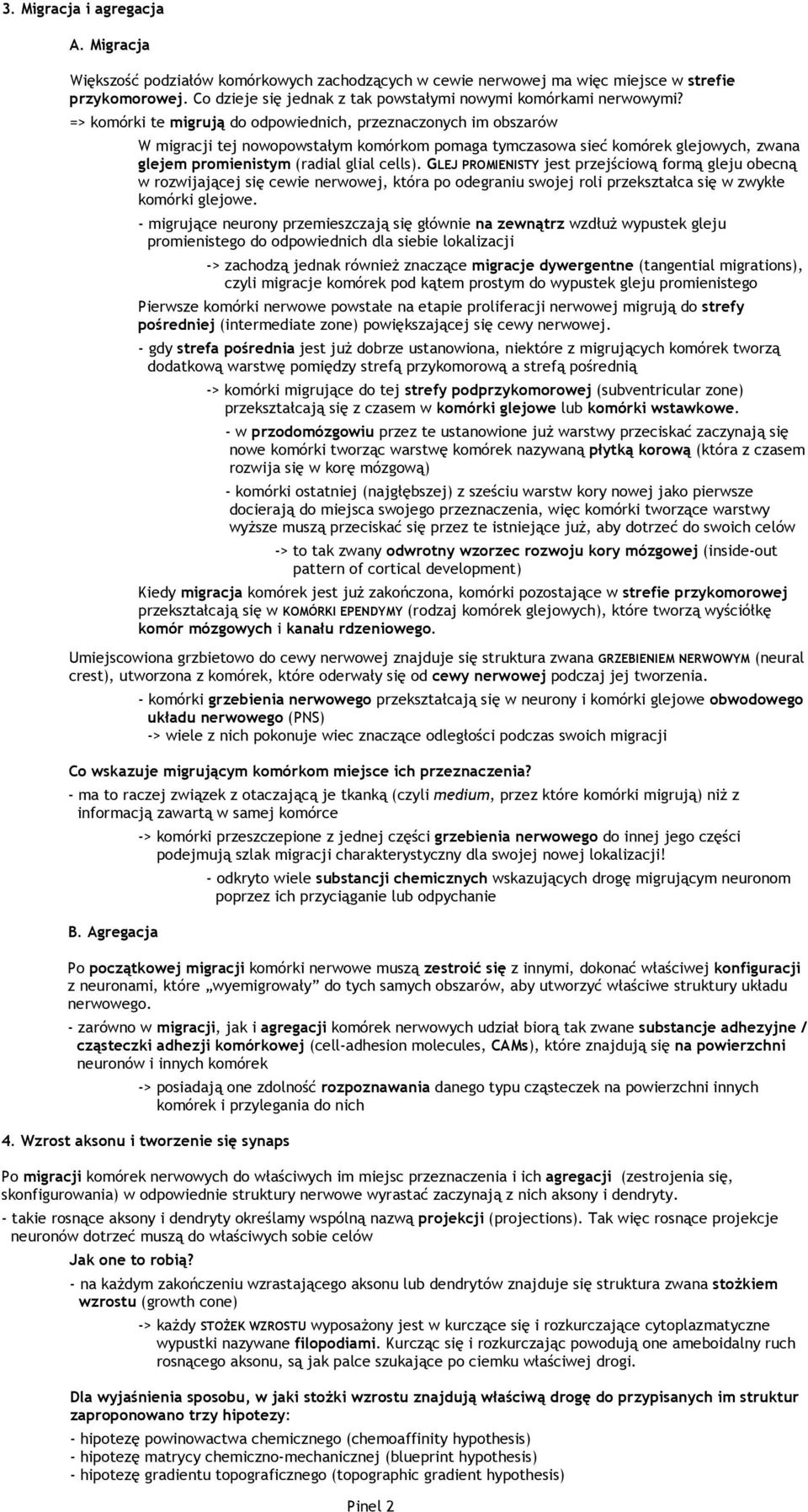 => komórki te migrują do odpowiednich, przeznaczonych im obszarów W migracji tej nowopowstałym komórkom pomaga tymczasowa sieć komórek glejowych, zwana glejem promienistym (radial glial cells).