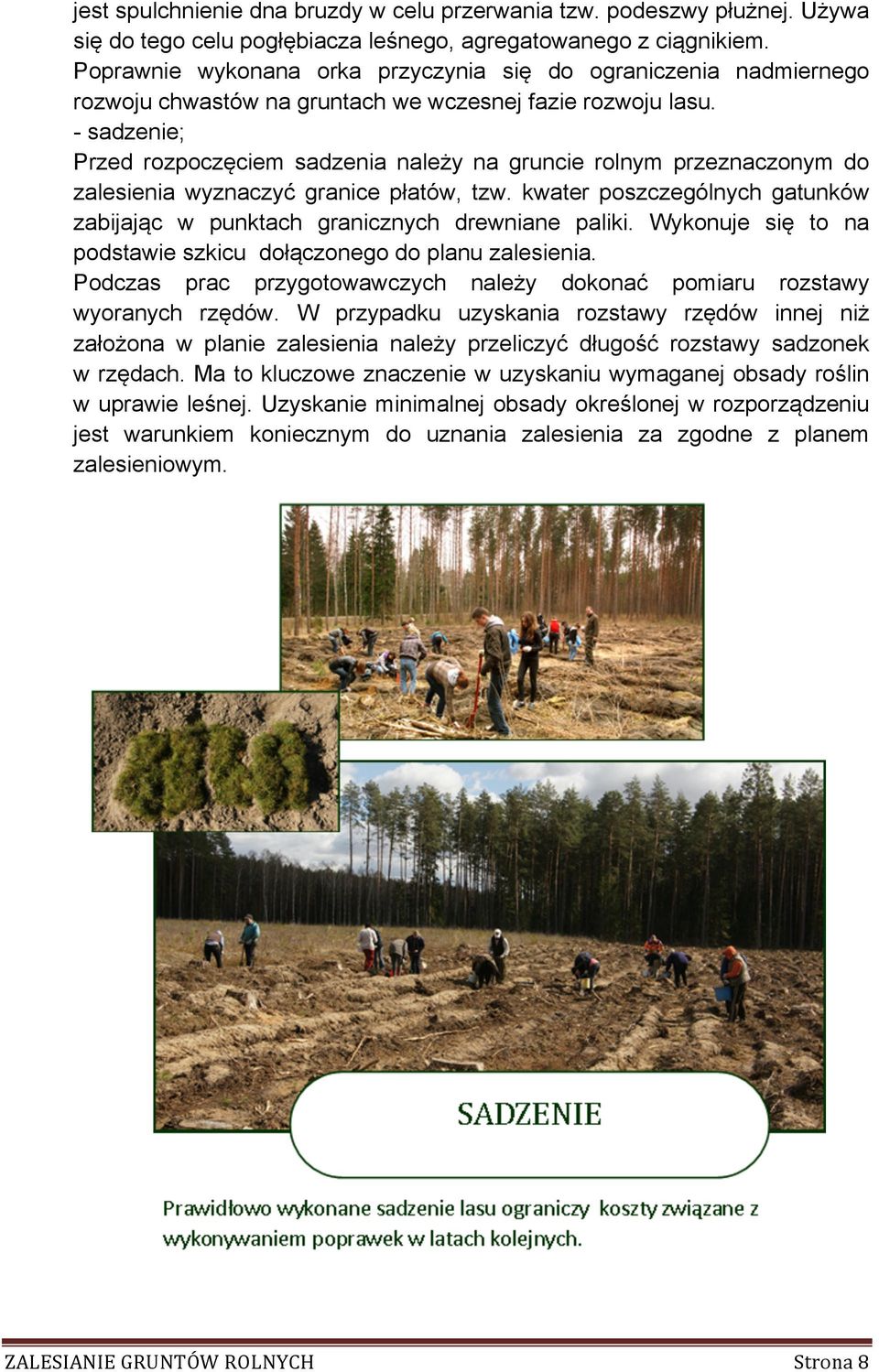 - sadzenie; Przed rozpoczęciem sadzenia należy na gruncie rolnym przeznaczonym do zalesienia wyznaczyć granice płatów, tzw.