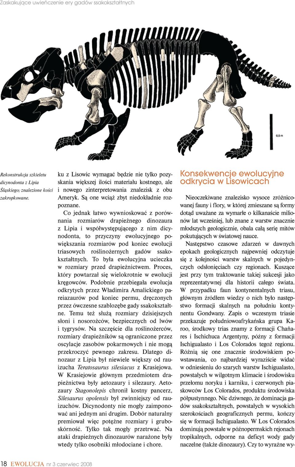 Co jednak łatwo wywnioskować z porównania rozmiarów drapieżnego dinozaura z Lipia i współwystępującego z nim dicynodonta, to przyczyny ewolucyjnego powiększania rozmiarów pod koniec ewolucji
