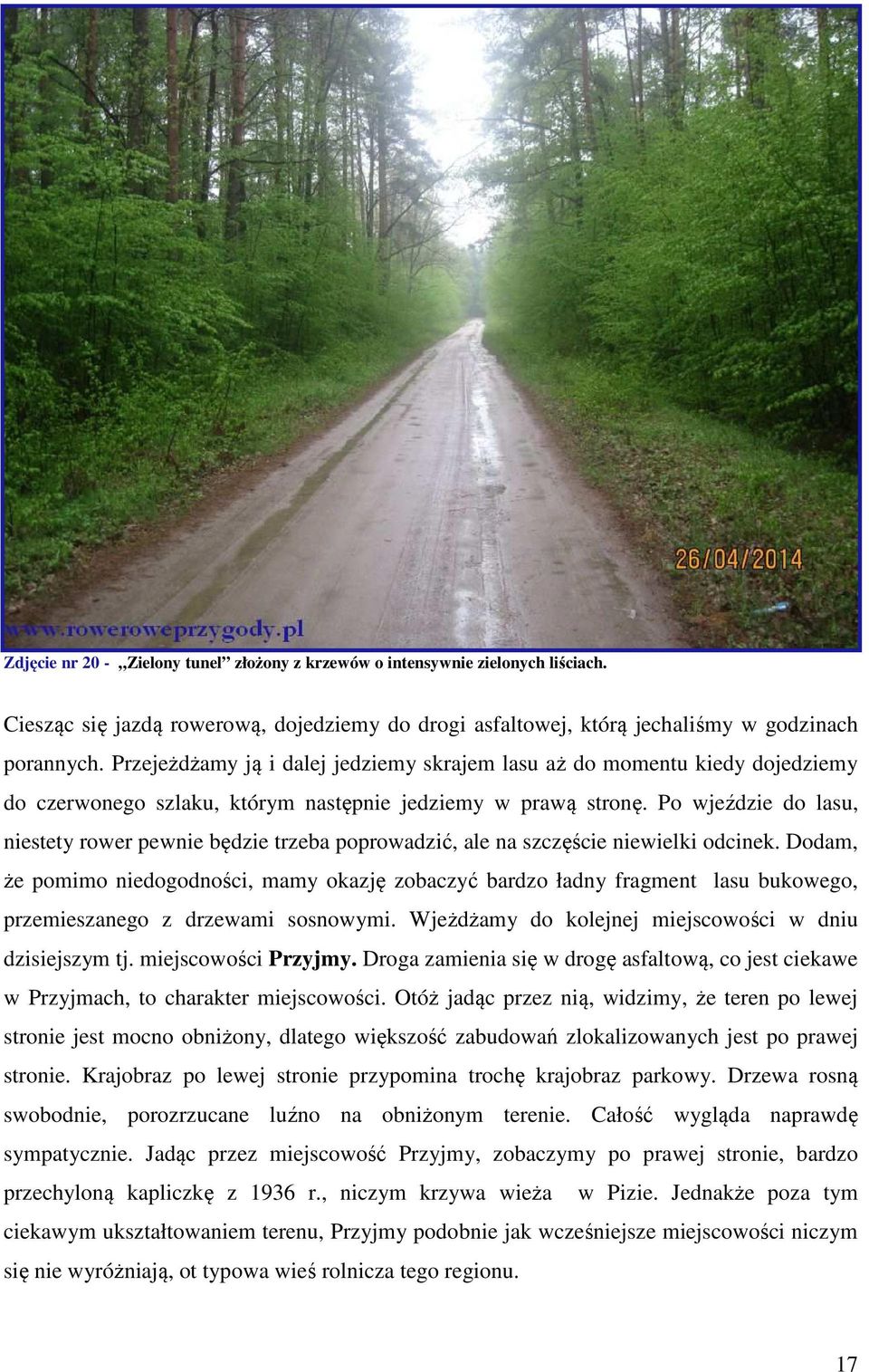 Po wjeździe do lasu, niestety rower pewnie będzie trzeba poprowadzić, ale na szczęście niewielki odcinek.