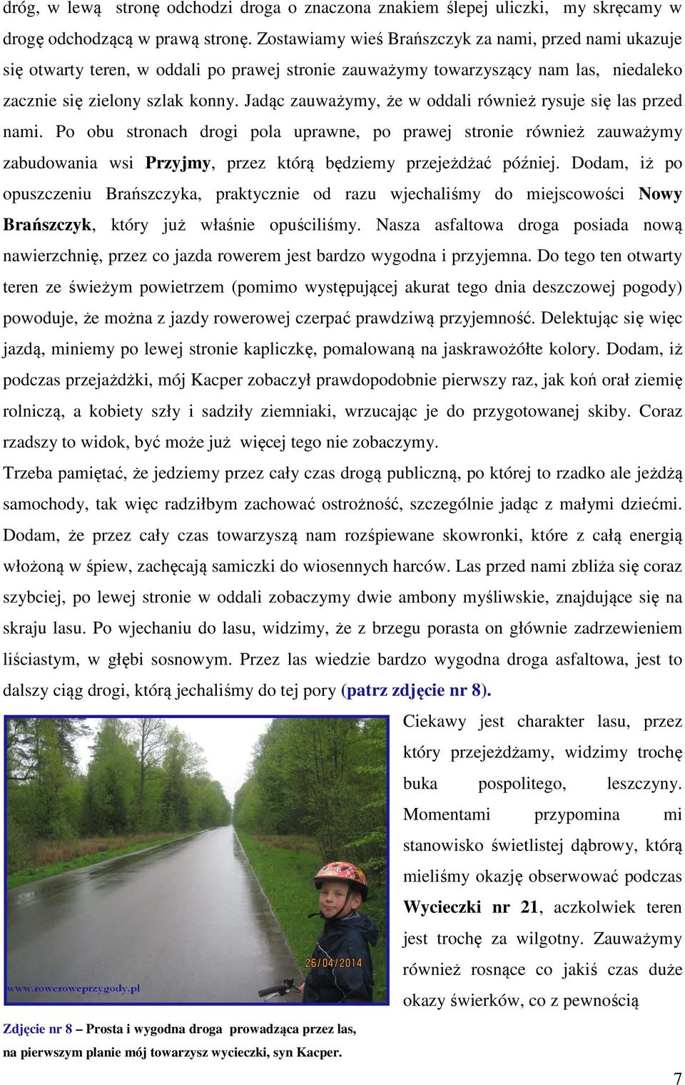 Jadąc zauważymy, że w oddali również rysuje się las przed nami.