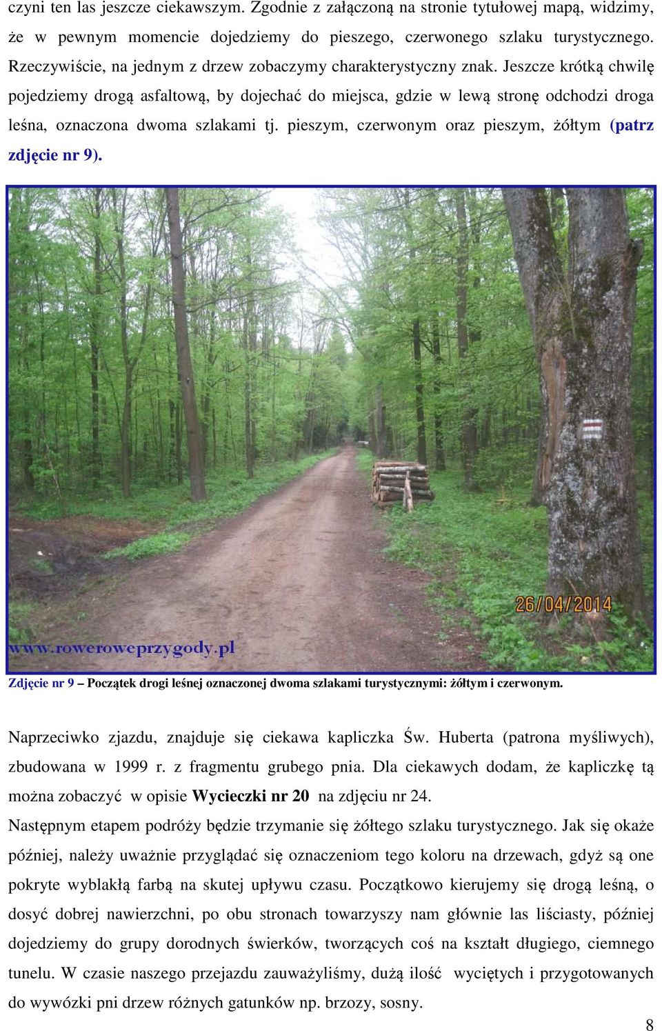 Jeszcze krótką chwilę pojedziemy drogą asfaltową, by dojechać do miejsca, gdzie w lewą stronę odchodzi droga leśna, oznaczona dwoma szlakami tj.