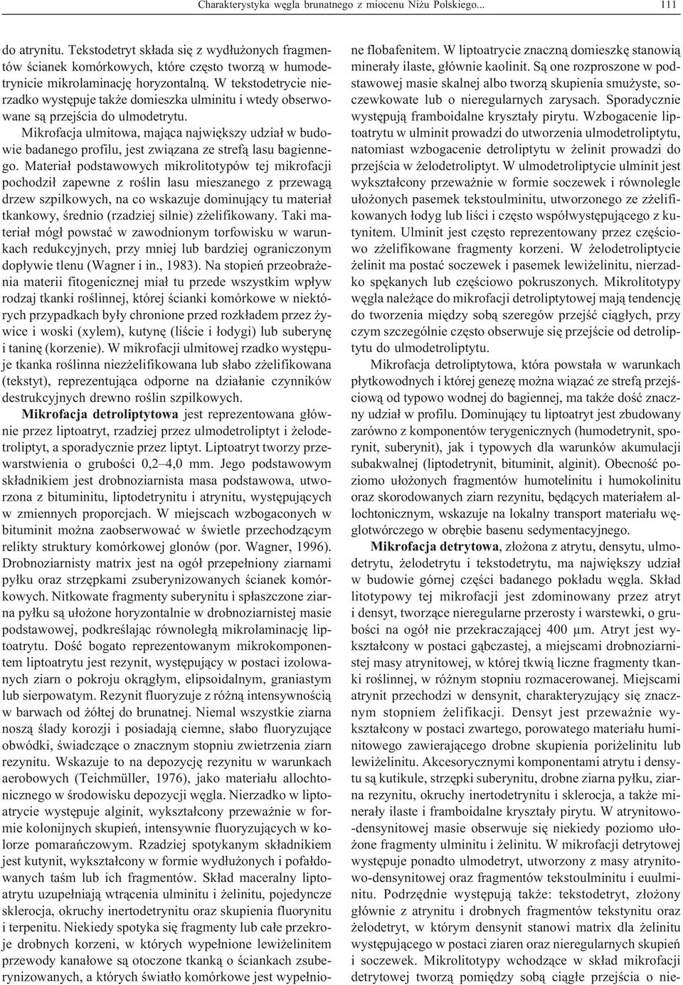 W tekstodetrycie nierzadko wystêpuje tak e domieszka ulminitu i wtedy obserwowane s¹ przejœcia do ulmodetrytu.