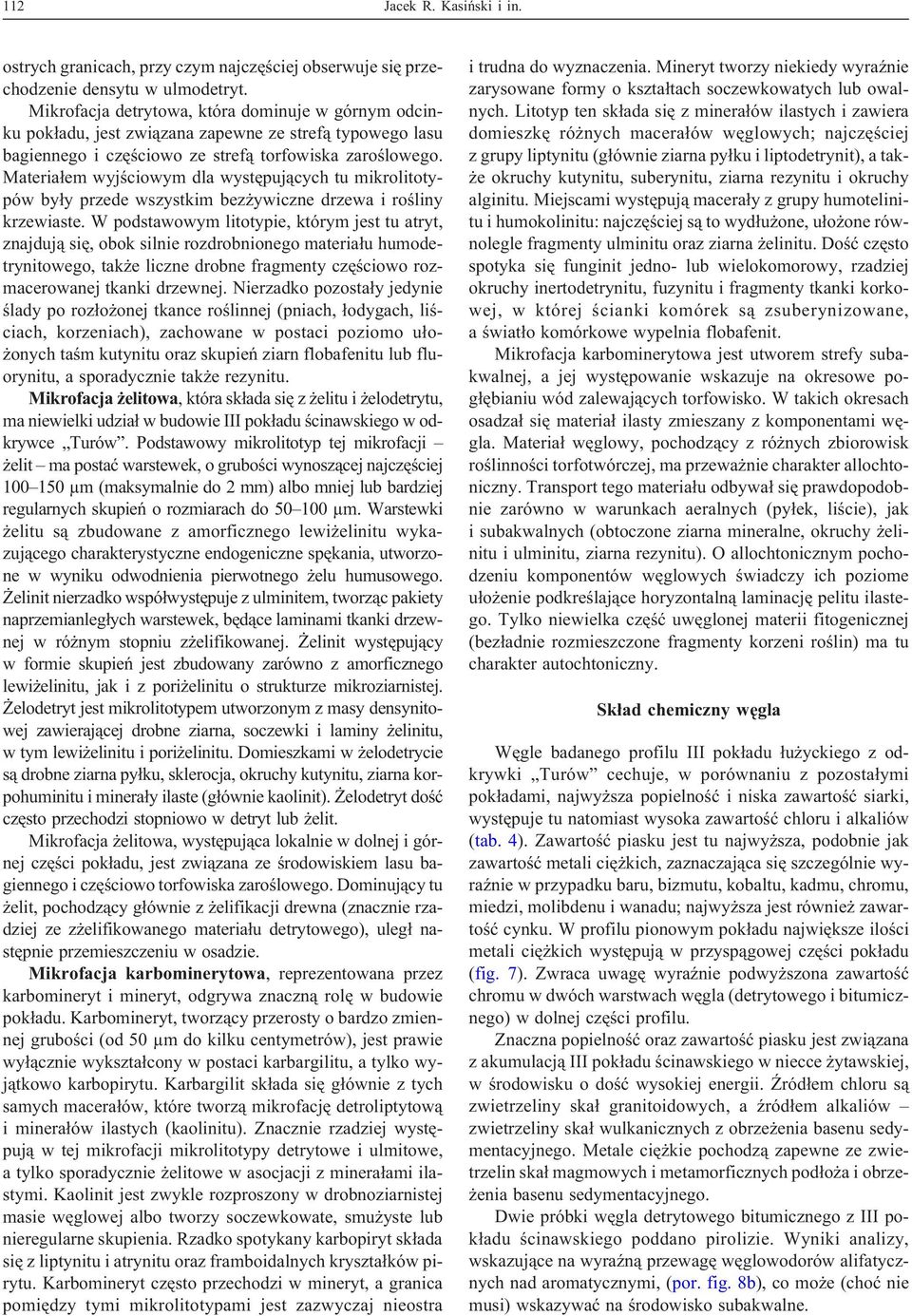 Materia³em wyjœciowym dla wystêpuj¹cych tu mikrolitotypów by³y przede wszystkim bez ywiczne drzewa i roœliny krzewiaste.