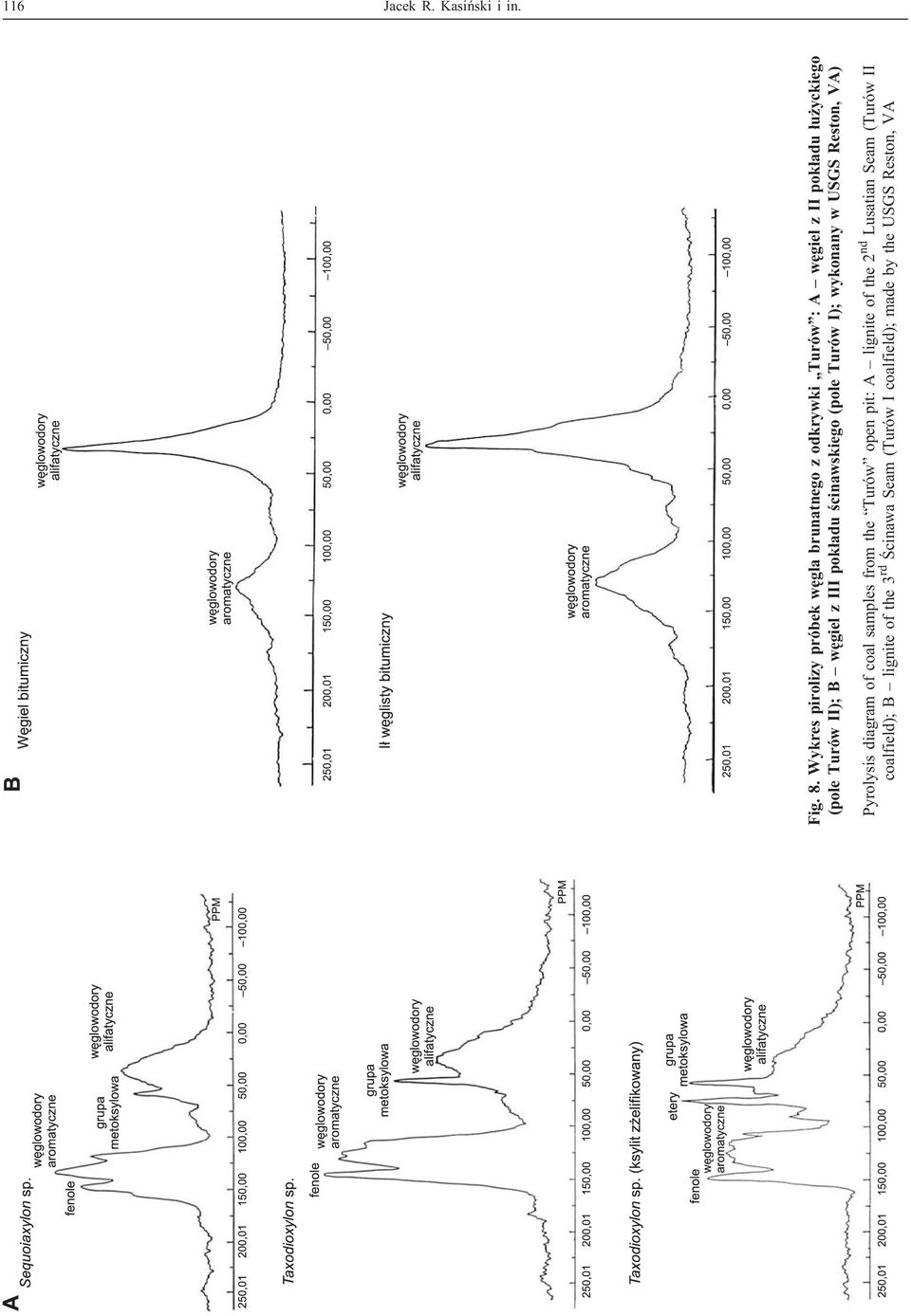 II); B wêgiel z III pok³adu œcinawskiego (pole Turów I); wykonany w USGS Reston, VA) Pyrolysis diagram of
