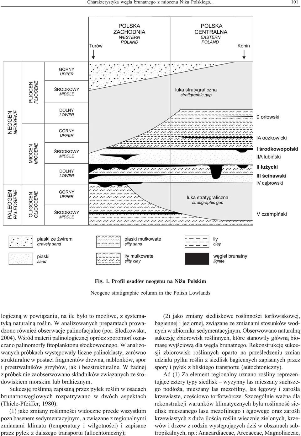 W analizowanych preparatach prowadzono równie obserwacje palinofacjalne (por. S³odkowska, 2004). Wœród materii palinologicznej oprócz sporomorf oznaczano palinomorfy fitoplanktonu s³odkowodnego.
