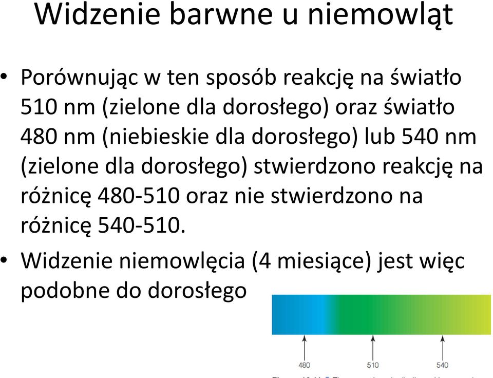 (zielone dla dorosłego) stwierdzono reakcję na różnicę 480-510 oraz nie