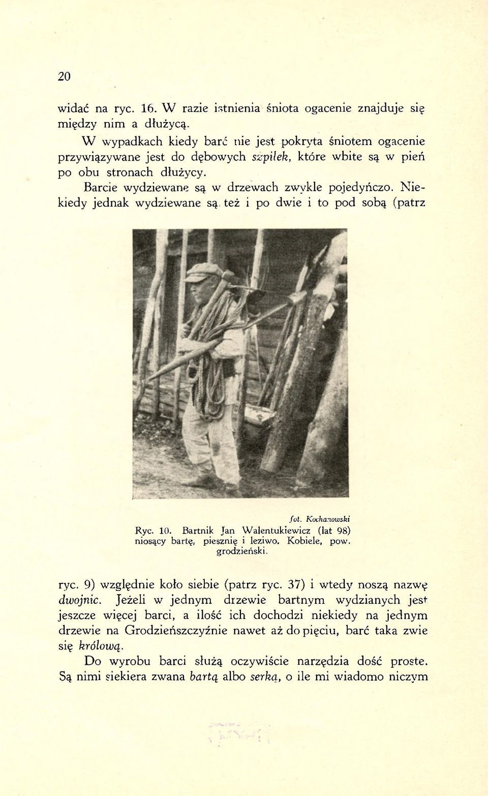 Niekiedy jednak wydziewane są. też i po dwie i to pod sobą (patrz fot. Kochanowski Ryc. 10. Bartnik Jan Walentukiewicz (lat 98) niosący bartę, piesznię i leziwo, Kobiele, pow. grodzieński. ryc.