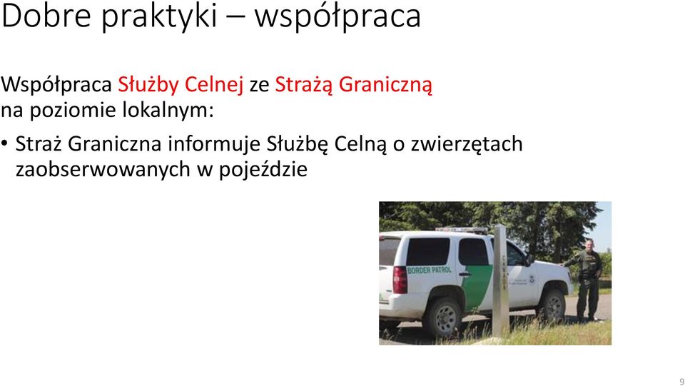 lokalnym: Straż Graniczna informuje Służbę